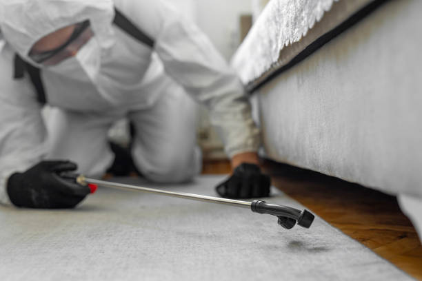 Professional Cockroach Control technician working in Livingston, AL