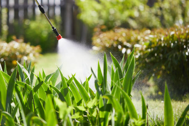 24/7 Emergency Cockroach Control experts in Livingston, AL