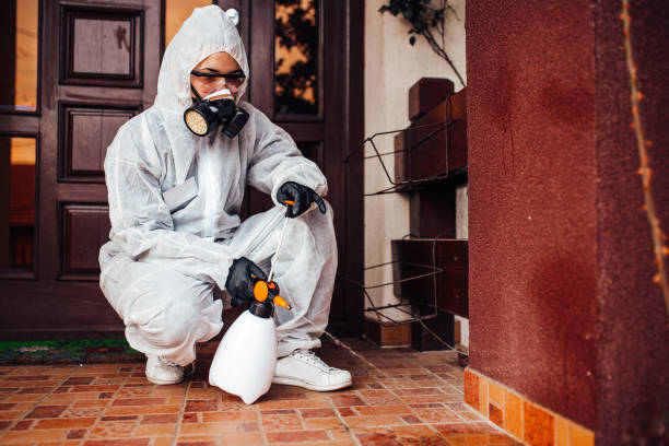 Reliable Cockroach Control contractor in Livingston, AL by Nex Pest Control