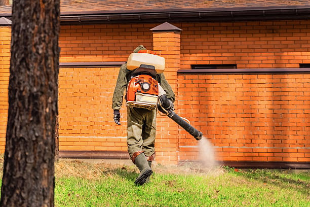 Trusted Emergency Pest Control service in Livingston, AL - Nex Pest Control